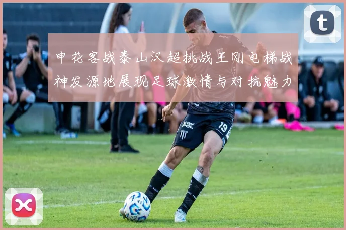 申花客战泰山汉超挑战王刚电梯战神发源地展现足球激情与对抗魅力